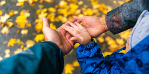 הדרכת הורים לגיל הרך