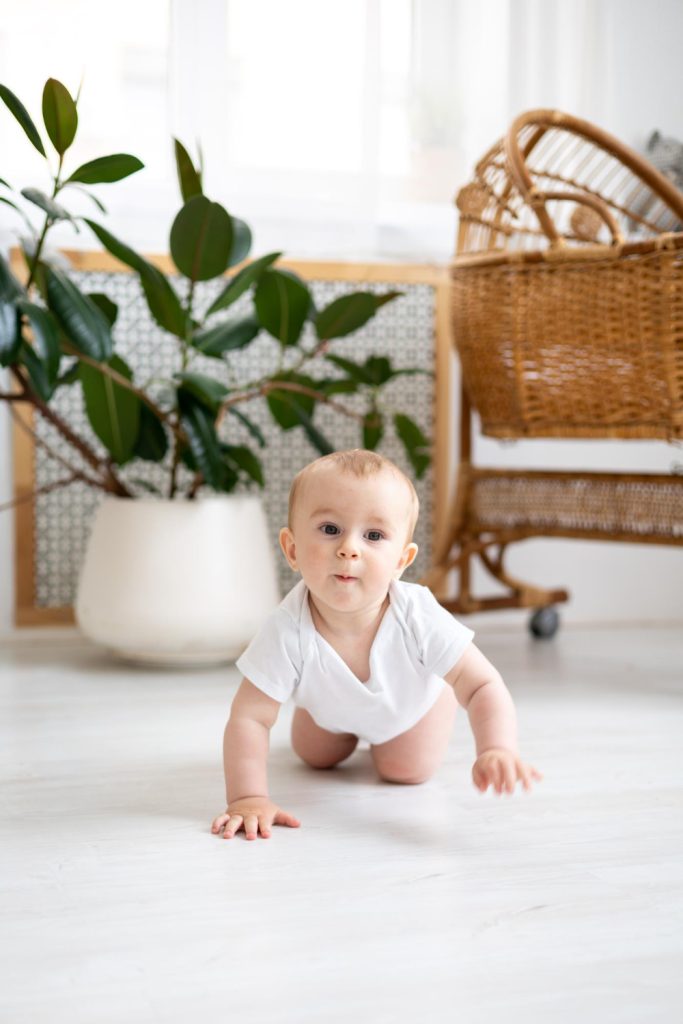 בלוג 31 בלוג