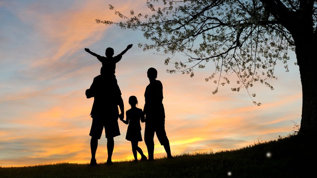 הדרכת הורים